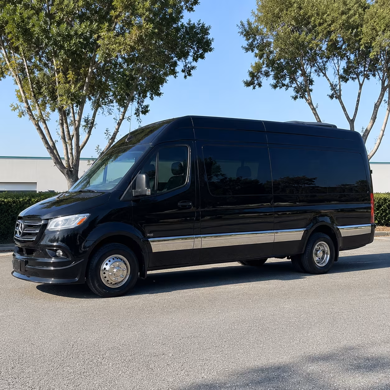austin birthday party transportation