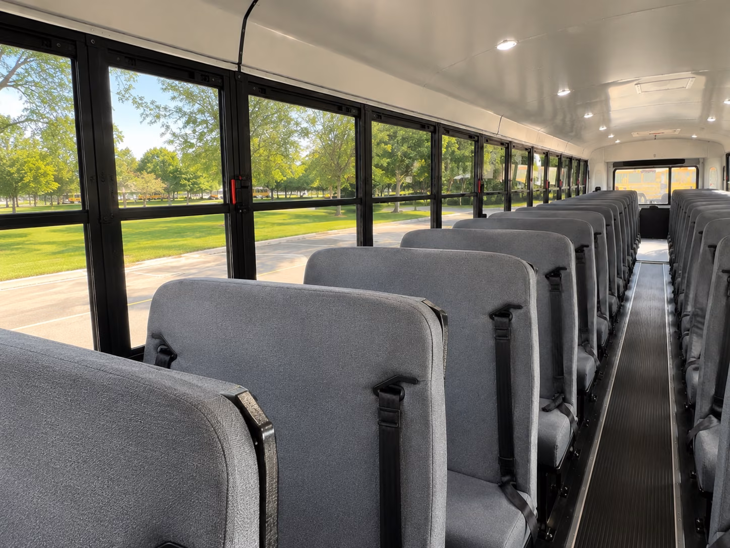 school bus rentals for austin zoo and nature field trips
