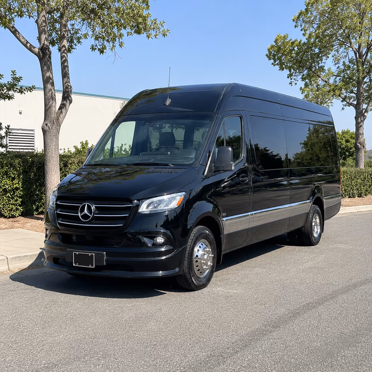 sprinter vans and minibuses for smaller austin airport groups